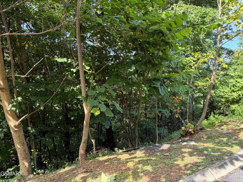 56 Smoky Ridge Way Lot 56, Sevierville, TN 37862