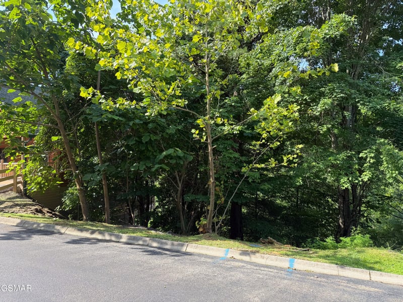 56 Smoky Ridge Way Lot 56, Sevierville, TN 37862