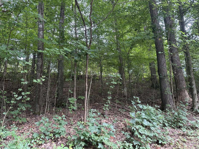 75 Highpoint Dr Lot 75, Sevierville, TN 37876