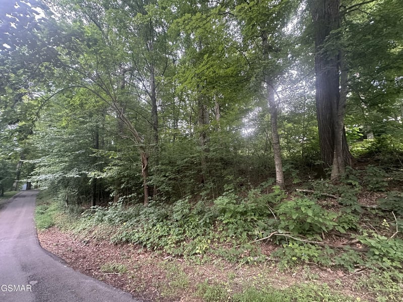 75 Highpoint Dr Lot 75, Sevierville, TN 37876