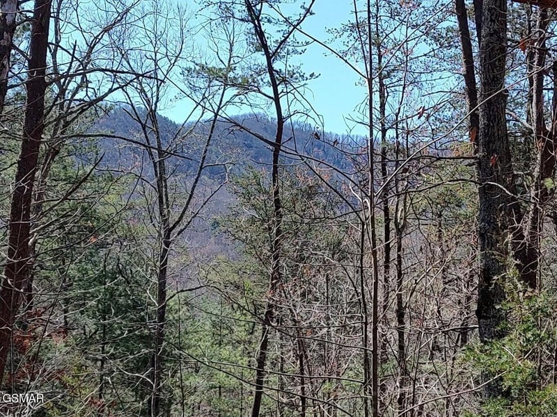 0 John Boy Trl Lot 10, Sevierville, TN 37862