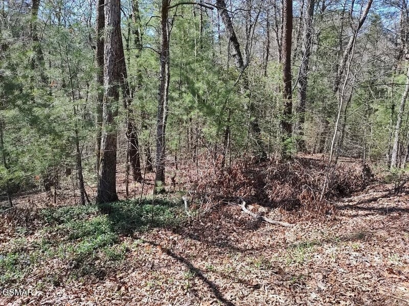 0 John Boy Trl Lot 10, Sevierville, TN 37862