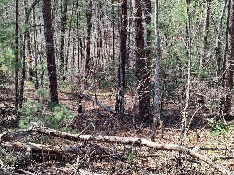 0 John Boy Trl Lot 10, Sevierville, TN 37862