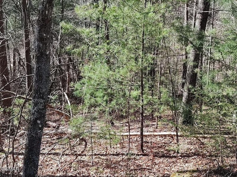 10 John Boy Trl Lot 10, Sevierville, TN 37862