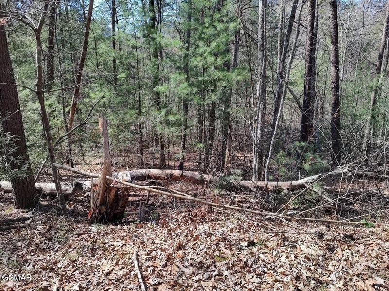10 John Boy Trl Lot 10, Sevierville, TN 37862