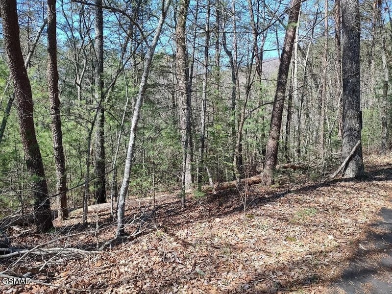 10 John Boy Trl Lot 10, Sevierville, TN 37862