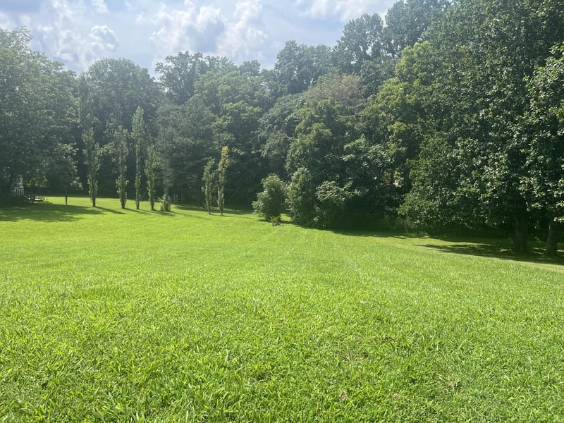 117 Keri Dr, Pleasant View, TN 37146