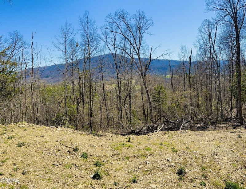 0 Quail Way Lot 9, Sevierville, TN 37862