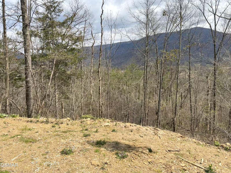 0 Quail Way Lot 9, Sevierville, TN 37862