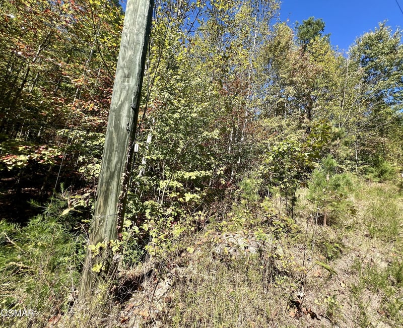 561 Creek Hollow Way Lot 2000, Sevierville, TN 37876