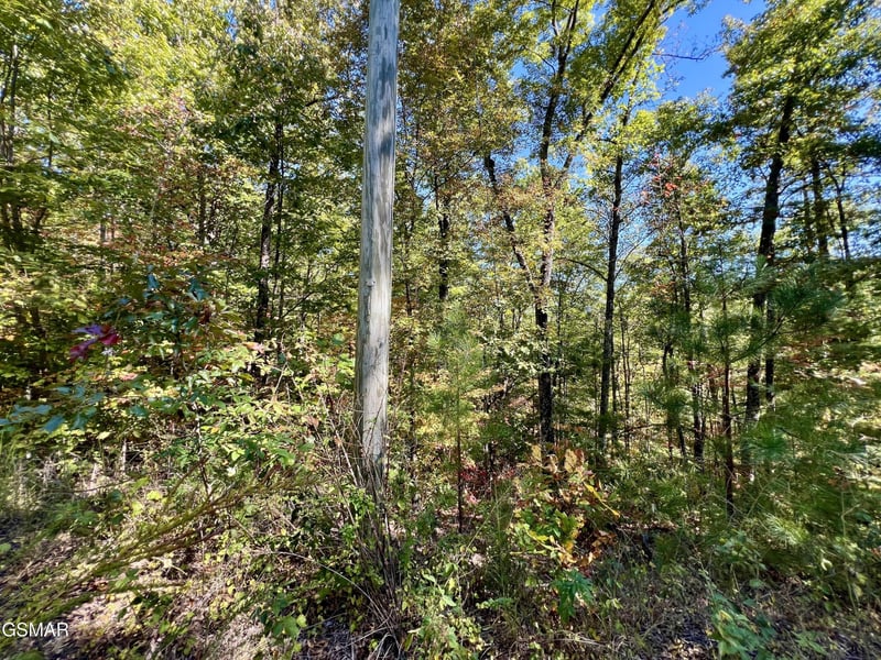 561 Creek Hollow Way Lot 2000, Sevierville, TN 37876