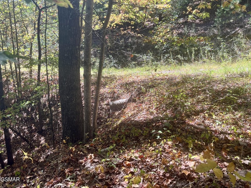 561 Creek Hollow Way Lot 2000, Sevierville, TN 37876