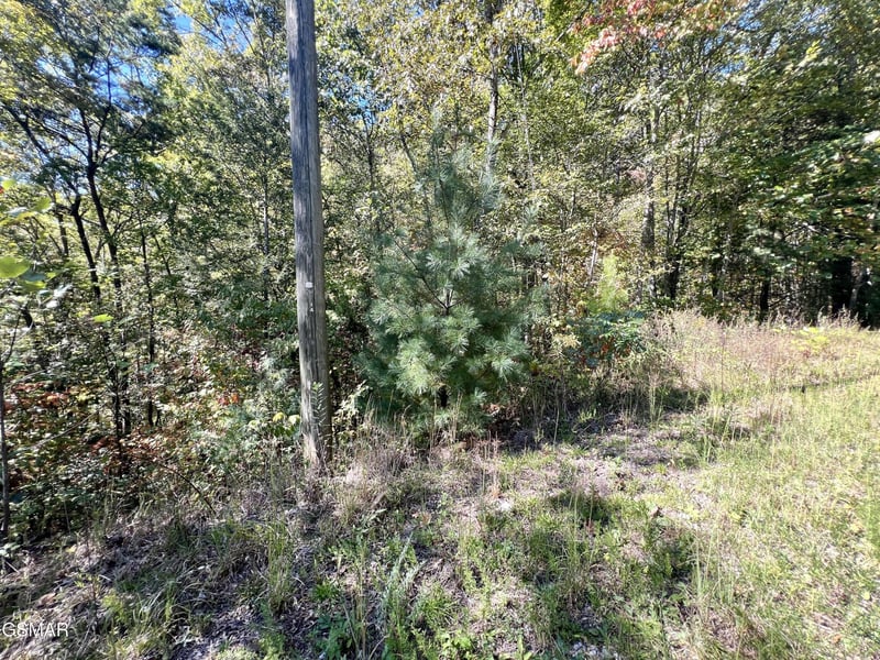 6 Creek Hollow Way Lot 2015, Sevierville, TN 37876