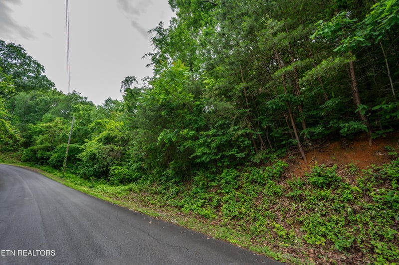 0 Aaron St Lot 2&2&3&13&1, Sevierville, TN 37876
