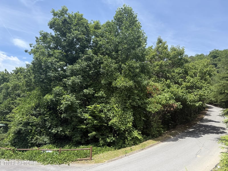 0 Autumn Ridge Way Lot 5, Sevierville, TN 37876