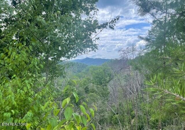 0 River Birch Way Lot 4, Sevierville, TN 37862