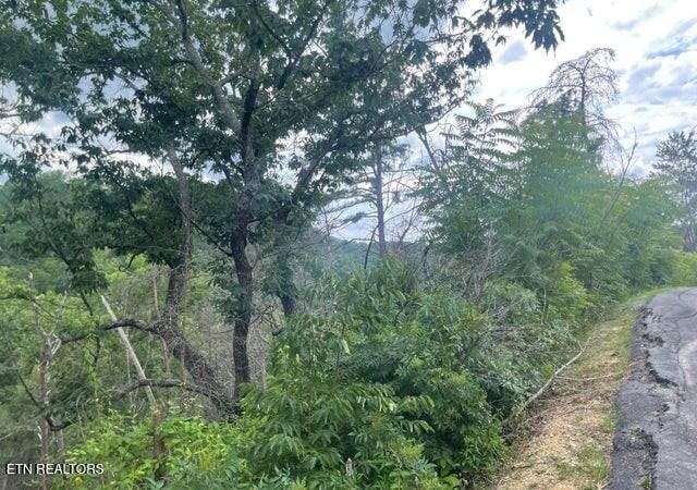 0 River Birch Way Lot 4, Sevierville, TN 37862