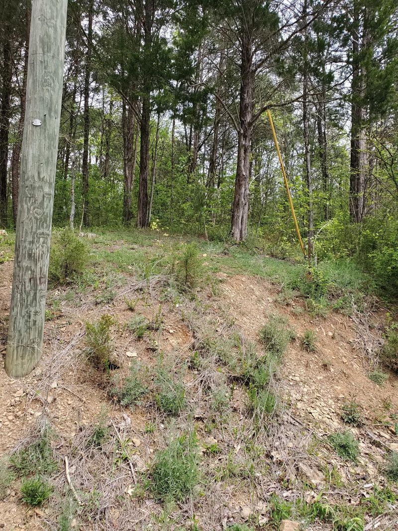 0 Ingle Hollow Rd Lot 56, Sevierville, TN 37876