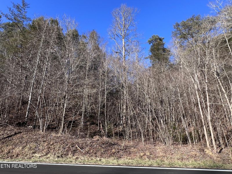 0 Jones Cove Rd Lot 17&18, Sevierville, TN 37876