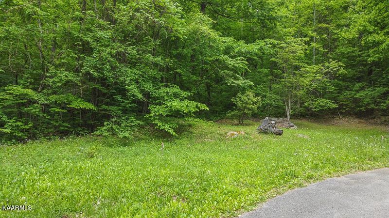 0 Thomaswood Tr, Sevierville, TN 37876