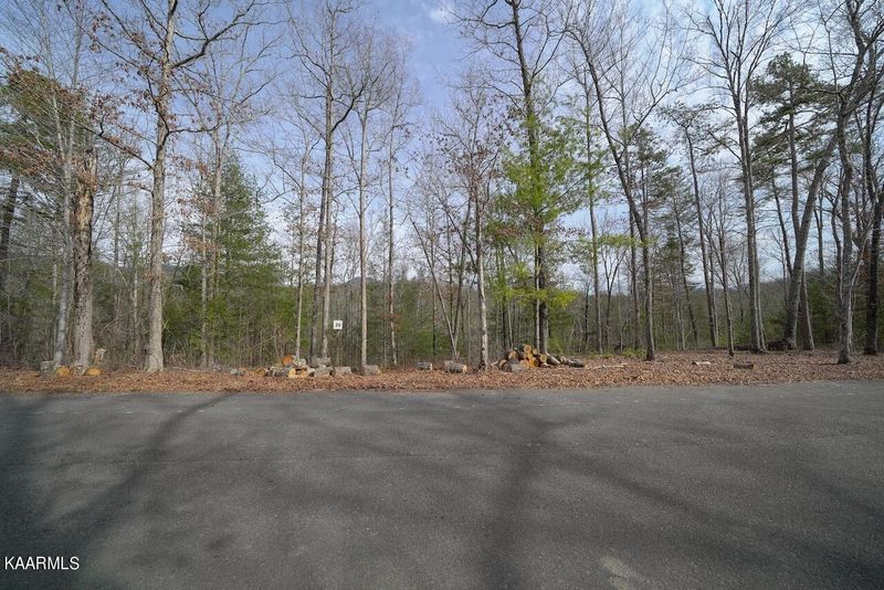 26 Mountain Ash Way, Sevierville, TN 37876