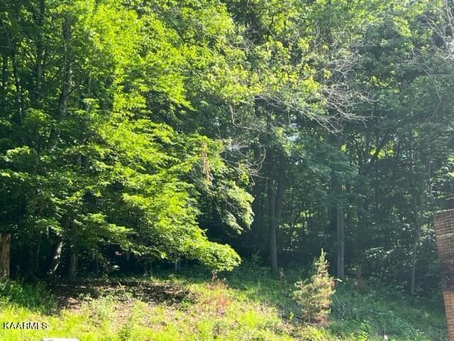 140 Seiber Ln, Andersonville, TN 37705