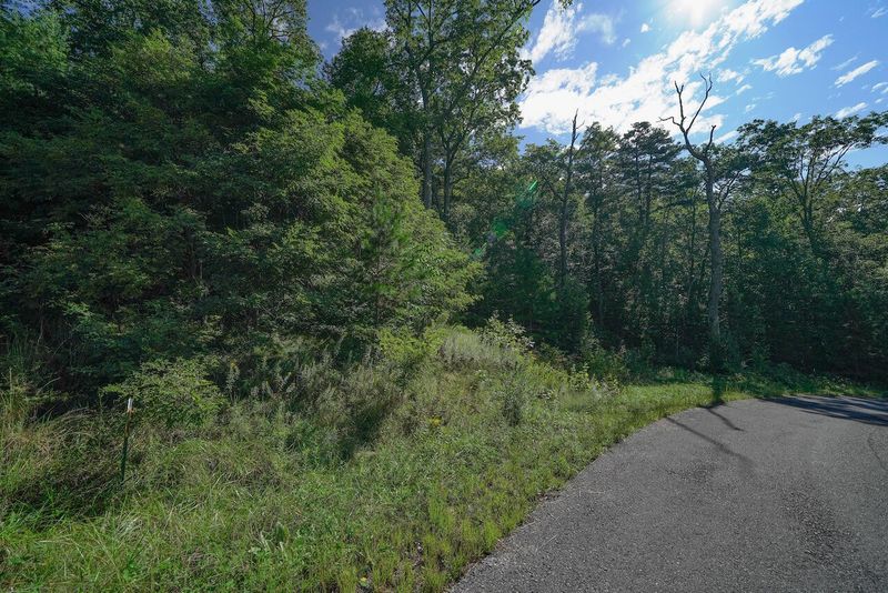56 Mountain Ash Way, Sevierville, TN 37876