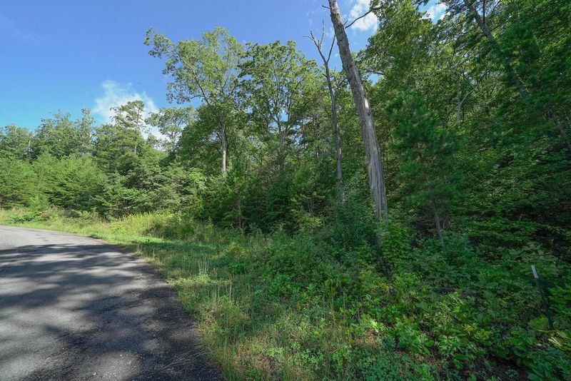56 Mountain Ash Way, Sevierville, TN 37876