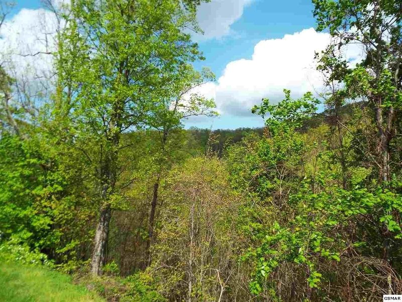 0 E Redtail Rd Lot 63, Sevierville, TN 37862