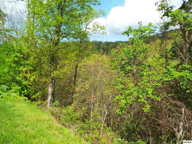 0 E Redtail Rd Lot 63, Sevierville, TN 37862