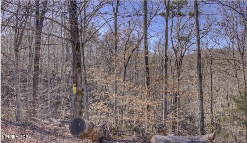 4585 Crooked Creek Way Lot 3, Maryville, TN 37803