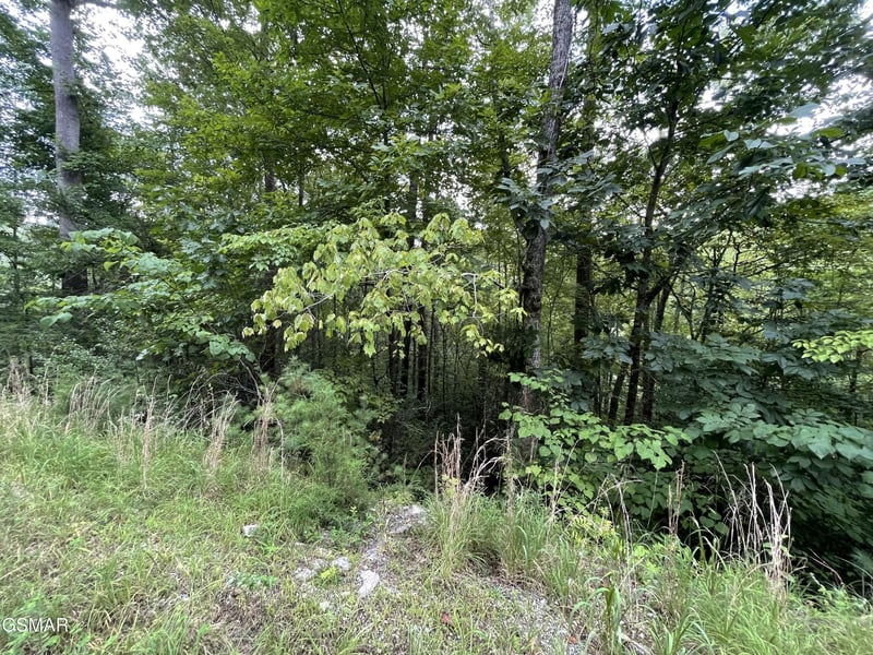 5 Stepping Stone Dr Lot 5, Sevierville, TN 37862