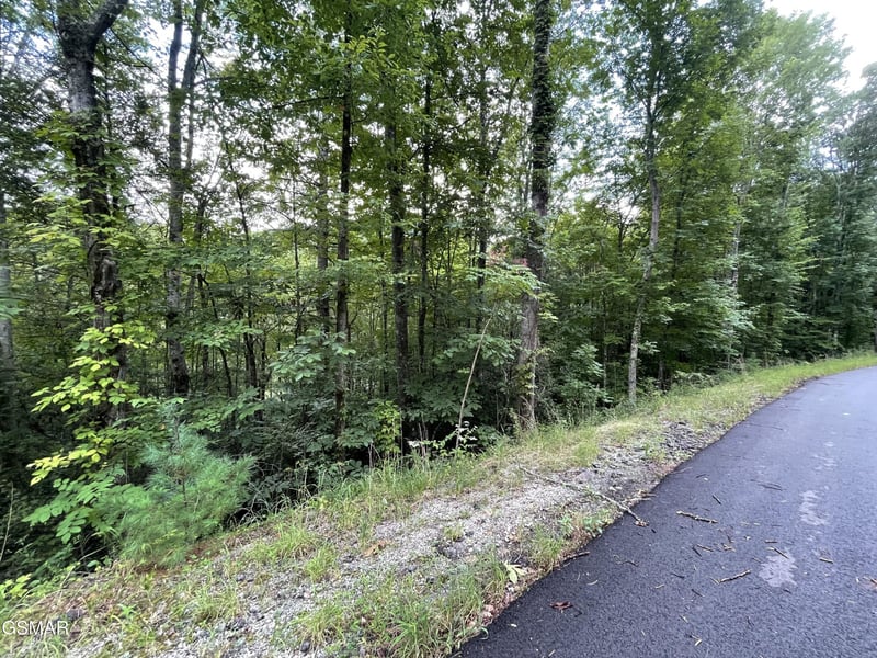6 Stepping Stone Dr Lot 6, Sevierville, TN 37862