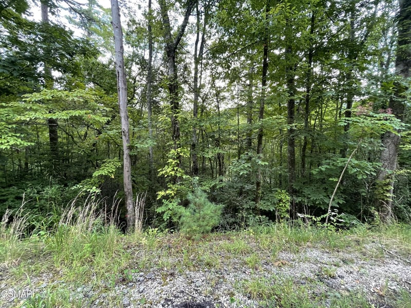 6 Stepping Stone Dr Lot 6, Sevierville, TN 37862