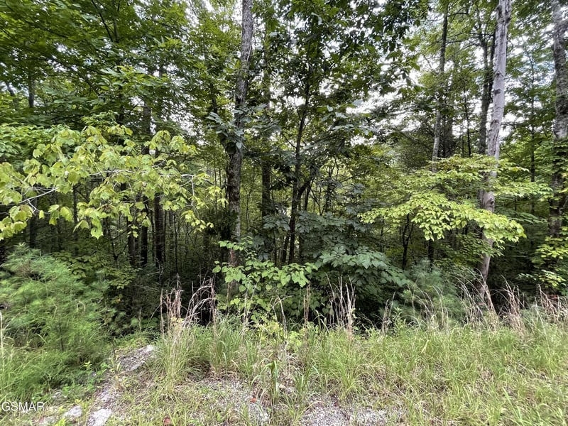 6 Stepping Stone Dr Lot 6, Sevierville, TN 37862