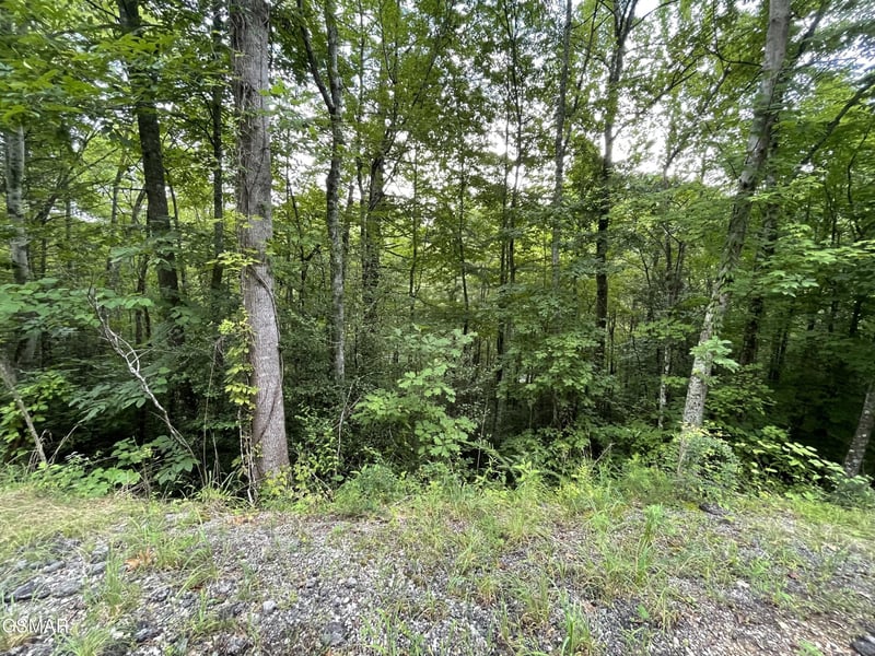 6 Stepping Stone Dr Lot 6, Sevierville, TN 37862