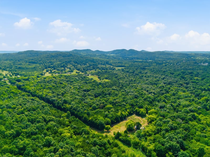 10636 Christiana Fosterville Rd, Bell Buckle, TN 37020
