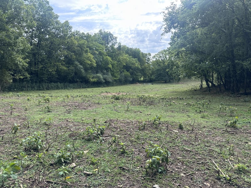 1820 New Highway 7 Lot B, Columbia, TN 38401