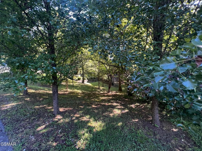 29 Scenic Woods Way Lot 29, Sevierville, TN 37876