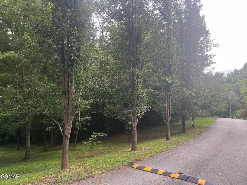 29 Scenic Woods Way Lot 29, Sevierville, TN 37876