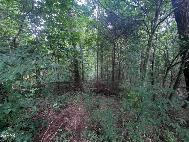 29 Scenic Woods Way Lot 29, Sevierville, TN 37876