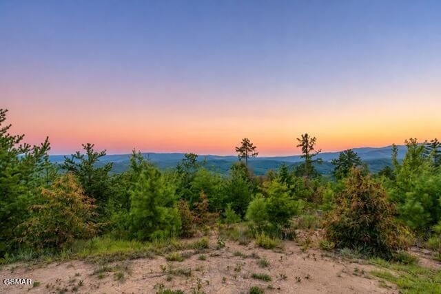 1981 Fox View Ln, Sevierville, TN 37876