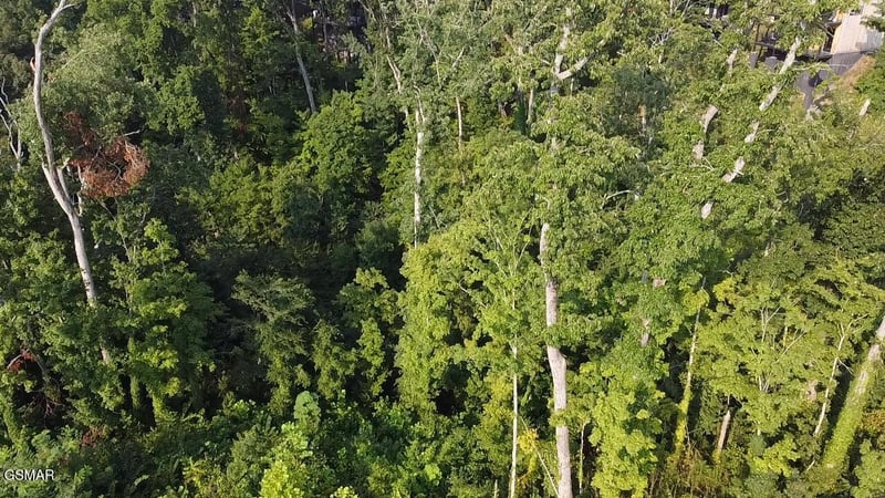 143 Reedmont Way Lot 143, Sevierville, TN 37876