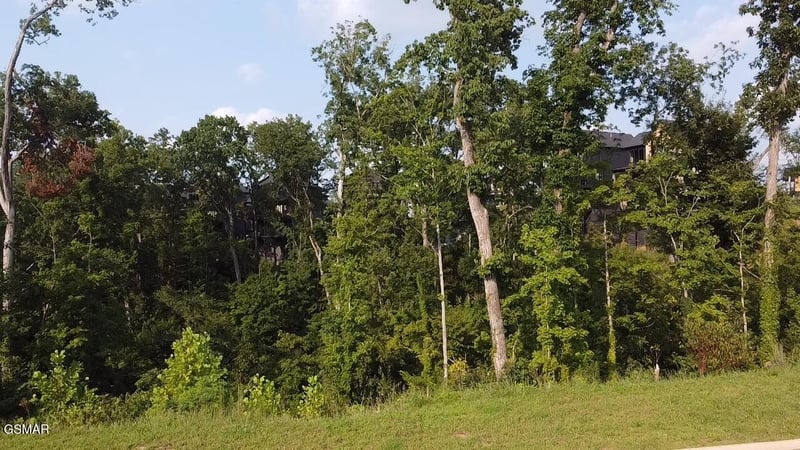 143 Reedmont Way Lot 143, Sevierville, TN 37876