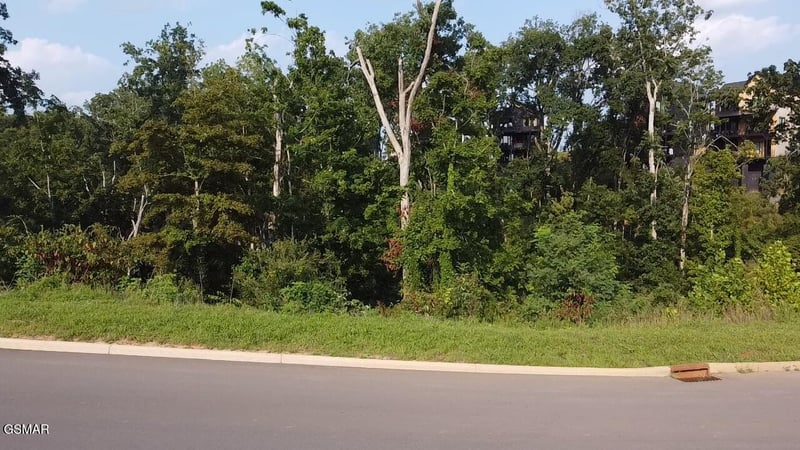 143 Reedmont Way Lot 143, Sevierville, TN 37876