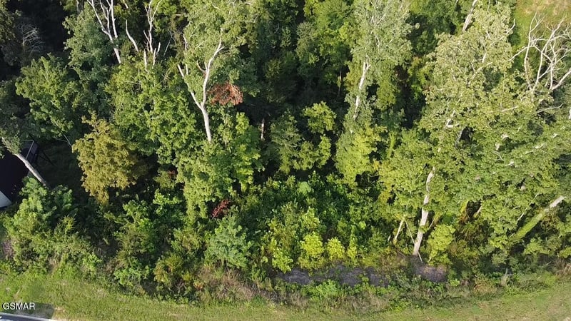 143 Reedmont Way Lot 143, Sevierville, TN 37876