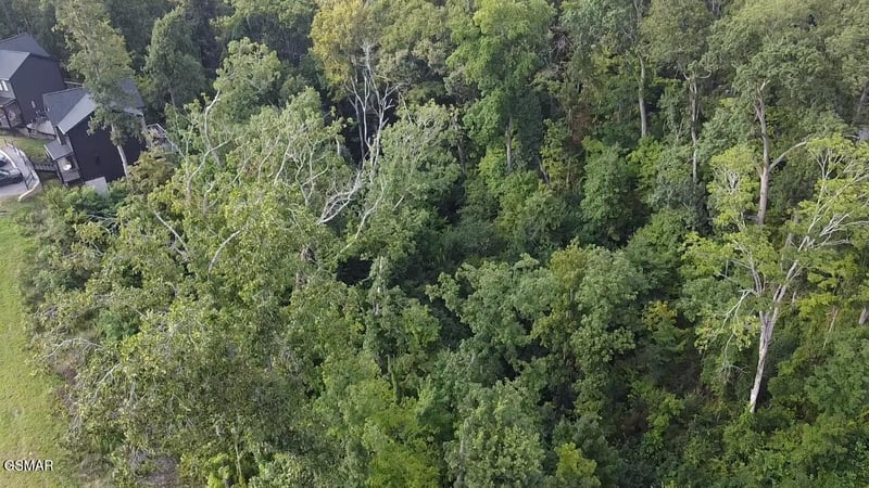 144 Reedmont Way Lot 144, Sevierville, TN 37876
