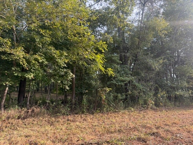 7 Issac Clifton Rd, Chapmansboro, TN 37035