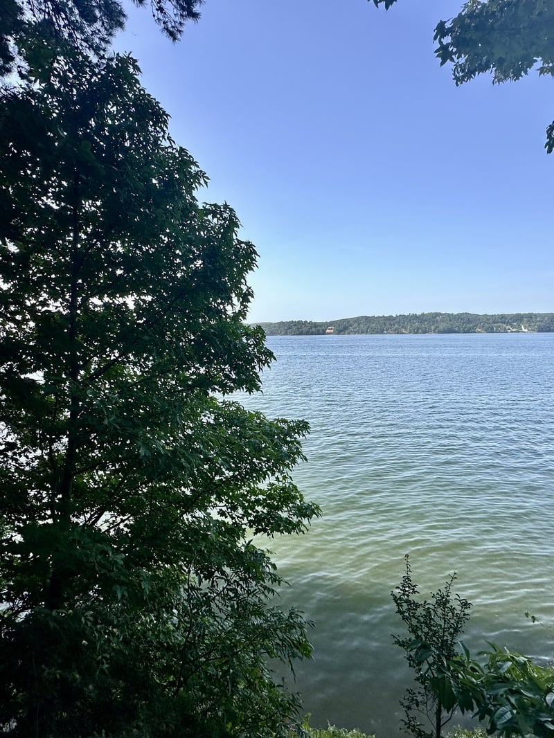 0 Paradise Dr, Waterloo, AL 35677