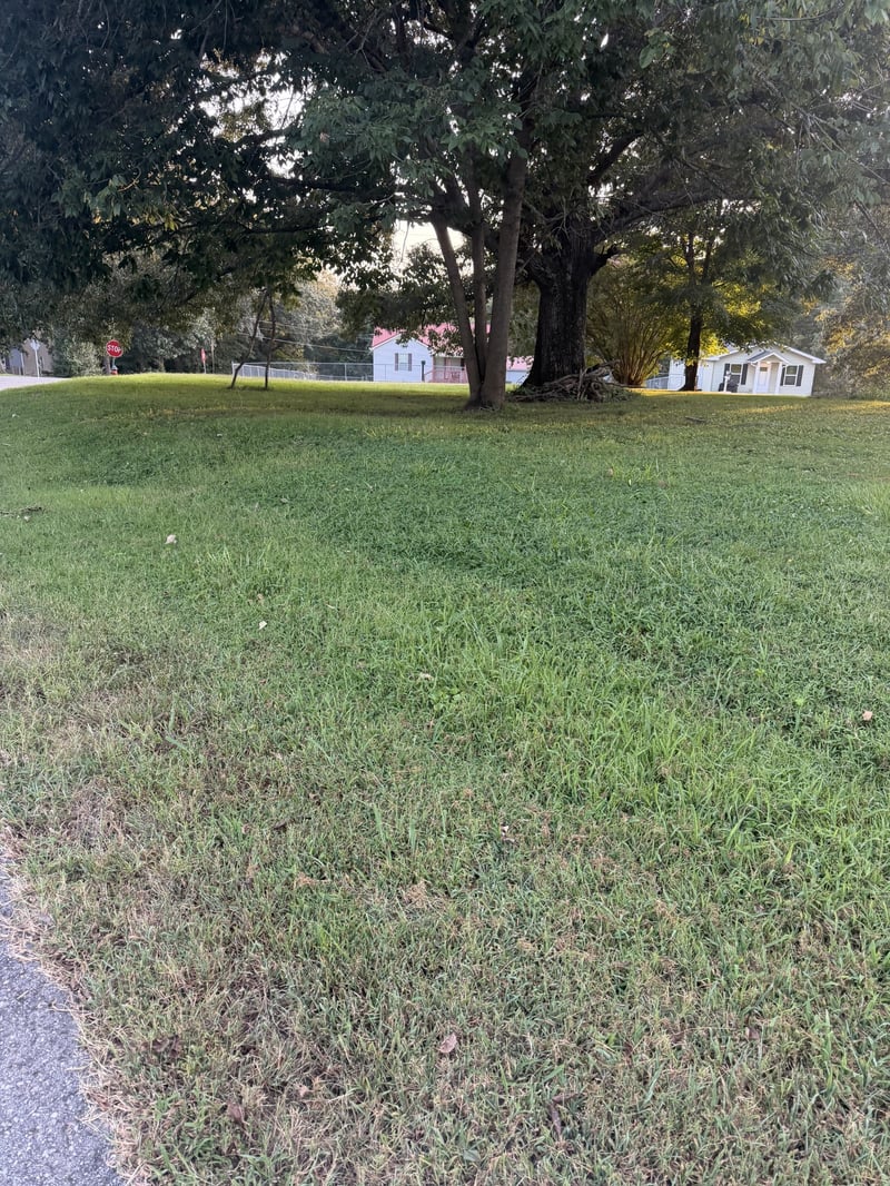 105 Valley View St, Ashland City, TN 37015